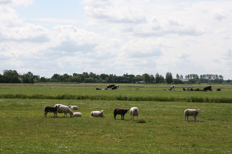 Speerpunten voor Midden-Delfland